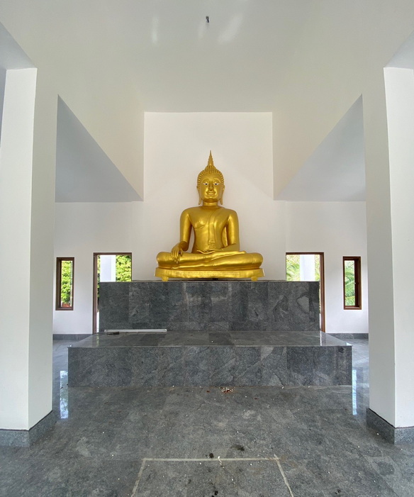 S 25976901 0 2